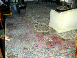 rug_kerman_palace_size_red.jpg (67471 bytes)